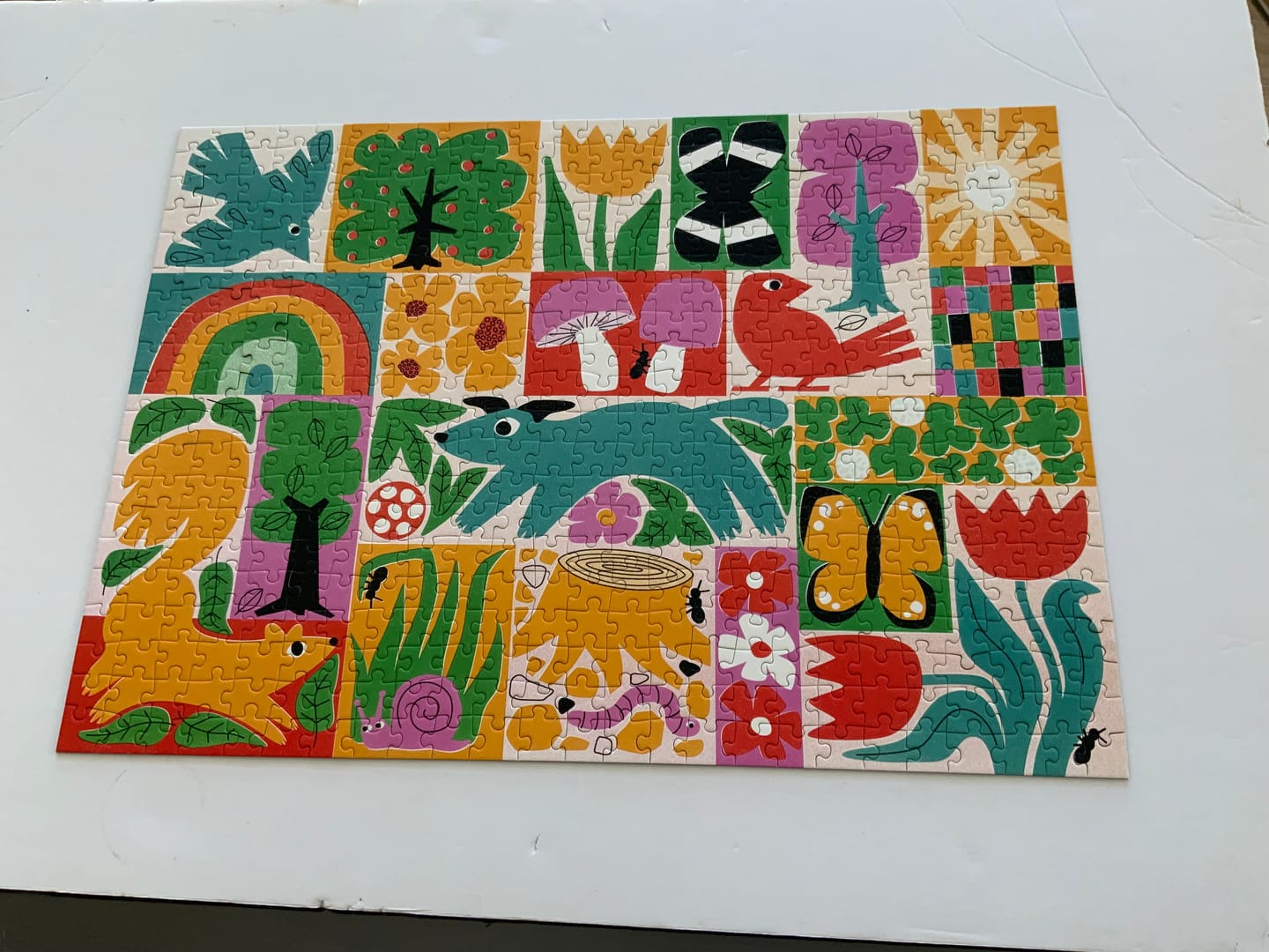 Customer photo review of Walk in the Park