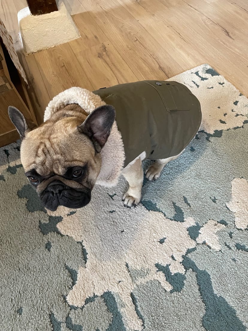 Customer photo review of Workdog Insulated Utility Jacket - Green