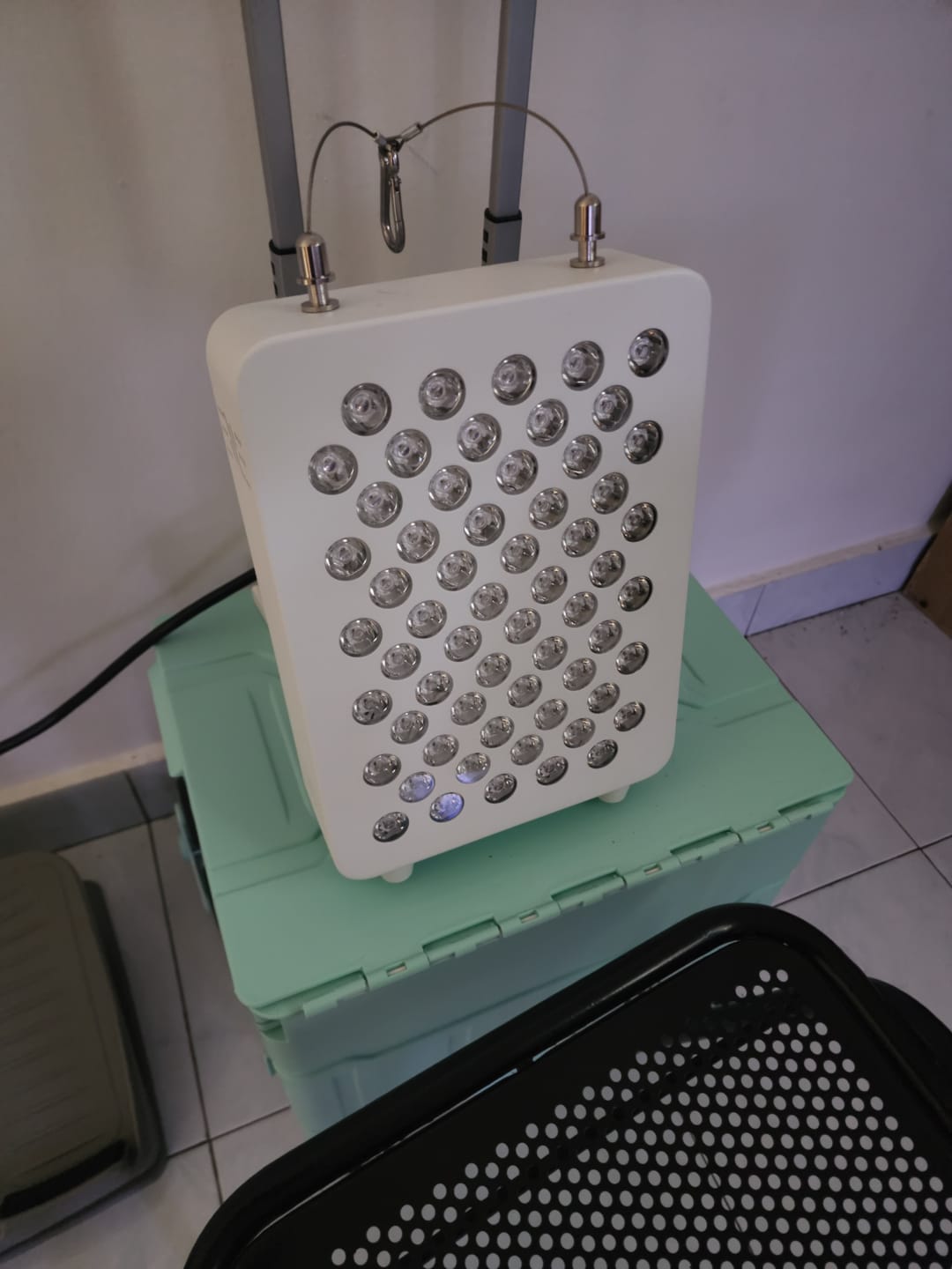 Customer photo review of Lumina Mini
