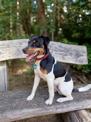 Customer photo review of Multi Vital