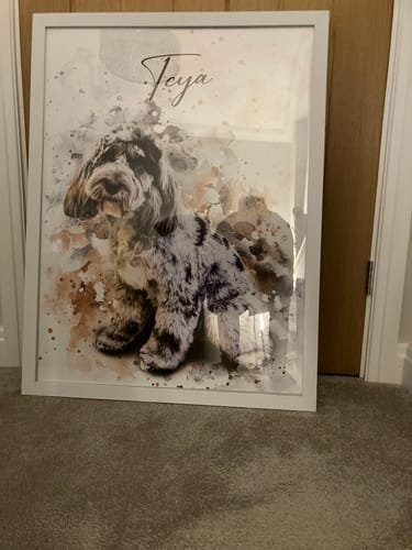 Stephen E. review of Your Pet as Watercolor Portrait image 1 out of 1