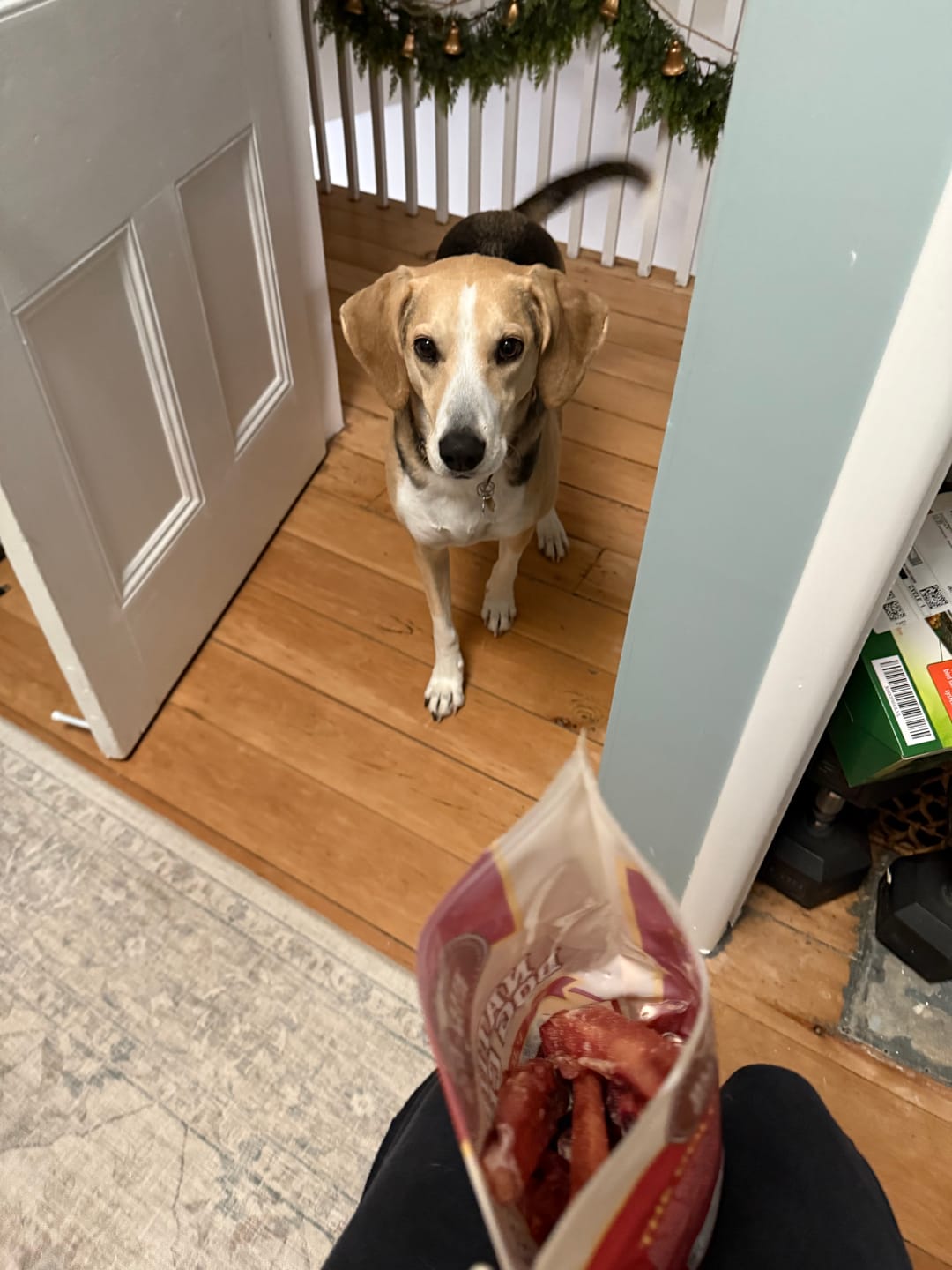 Customer photo review of 6 Inch Trachea Wrapped in Jerky