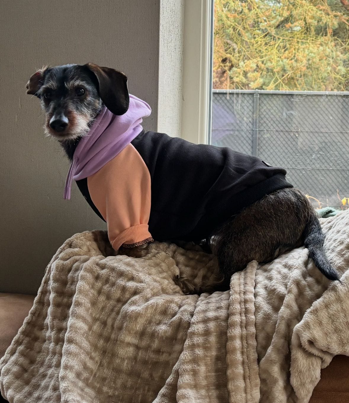 Customer photo review of WarmShield Water-Resistant Jacket - Black