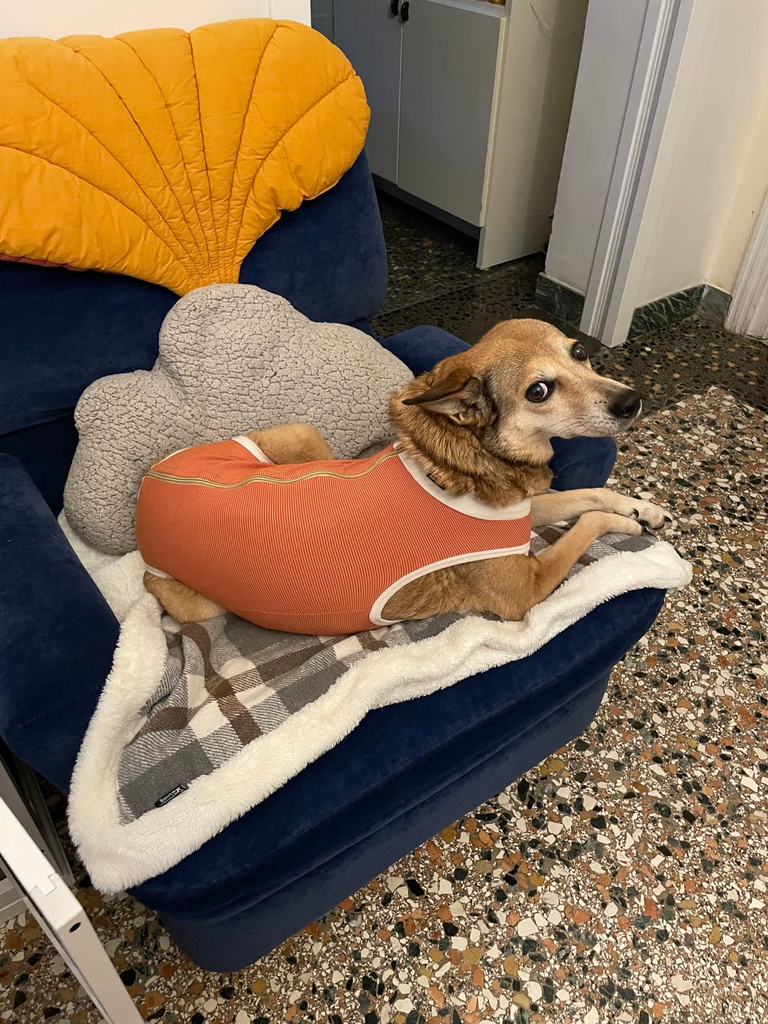Customer photo review of Body post-operatorio