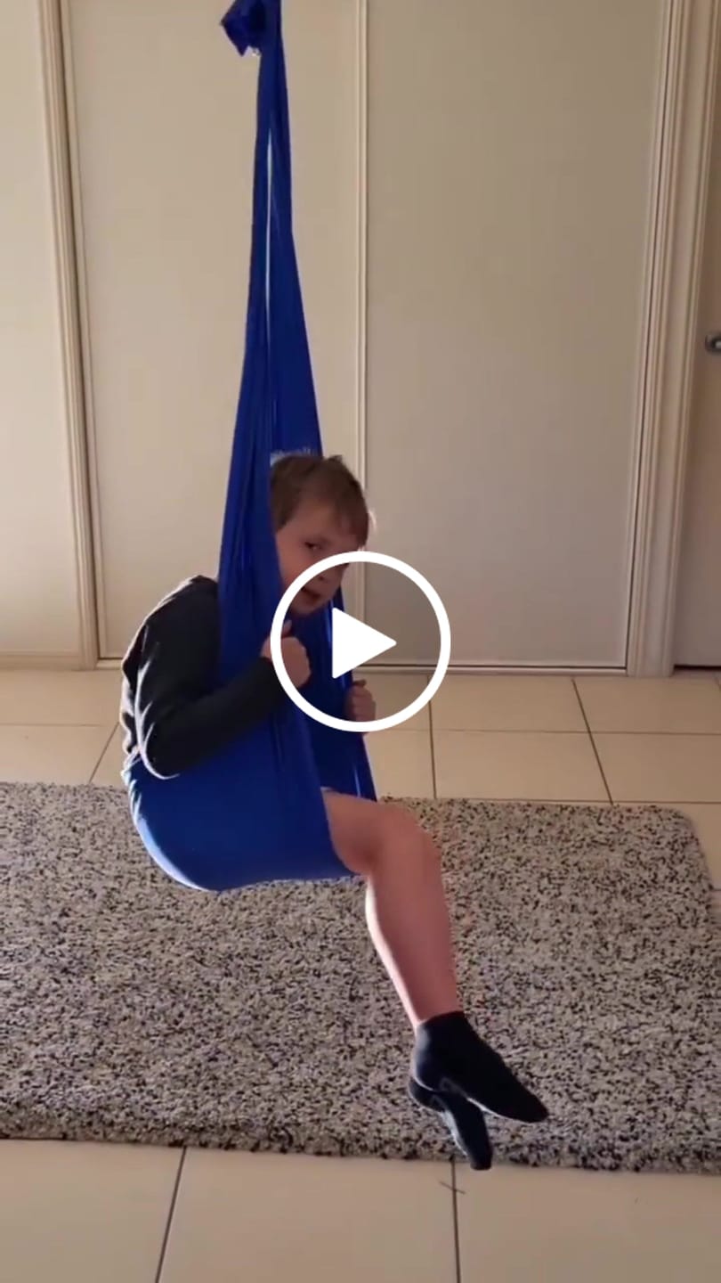 Customer video review of SmartPlayground™ sensory swing