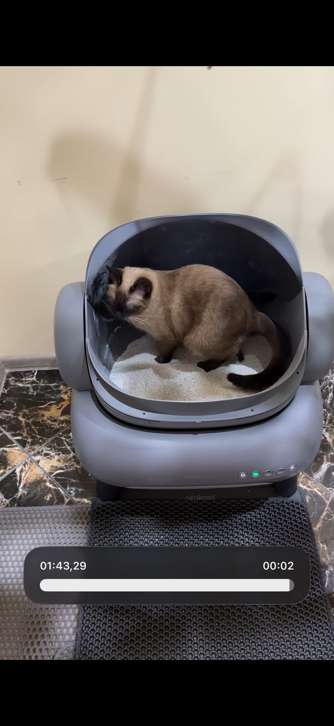 Customer photo review of Neakasa M1 Open Top Self-Cleaning Cat Litter Box