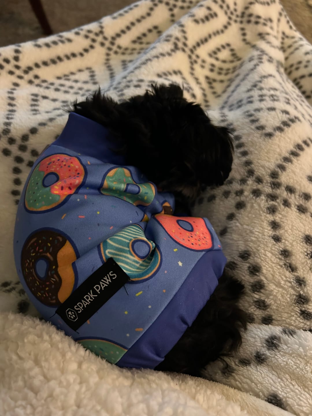 Customer photo review of Dog Pajama - Donuts