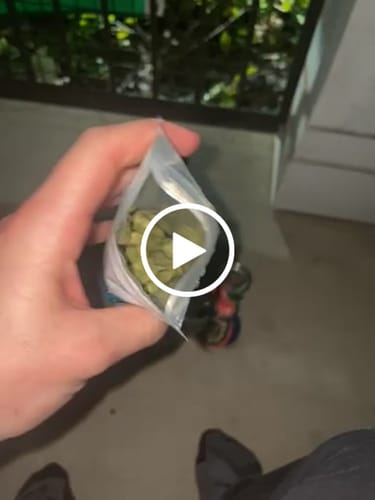 Customer video review of THCa Greenhouse Smalls