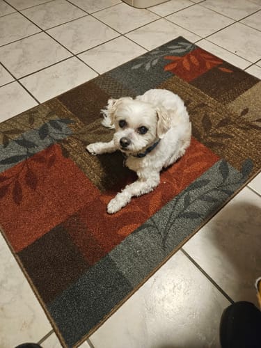 Customer photo review of DA-1™ Daily All-in-One Complete Care