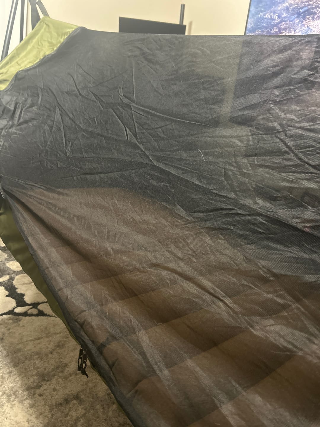 Customer photo review of Haven Safari Pad