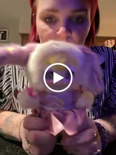 Customer video review of SUNYCOCO Sweet Rebel Series Plush Blind Box