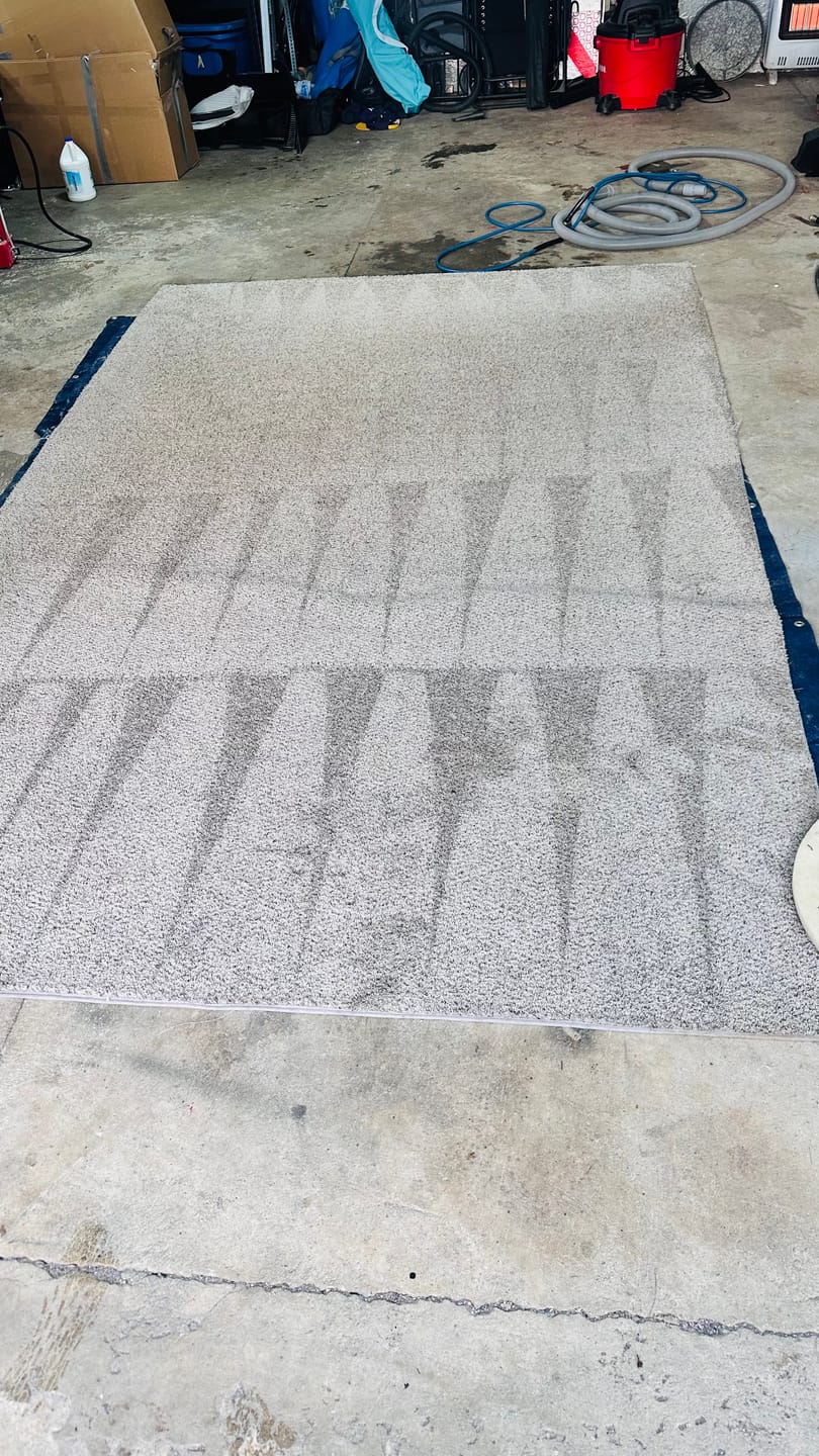 Customer photo review of • Releasit Encap-Punch (4 Gallon) Carpet Cleaning Encapsulation Pre-Spray [Encap]