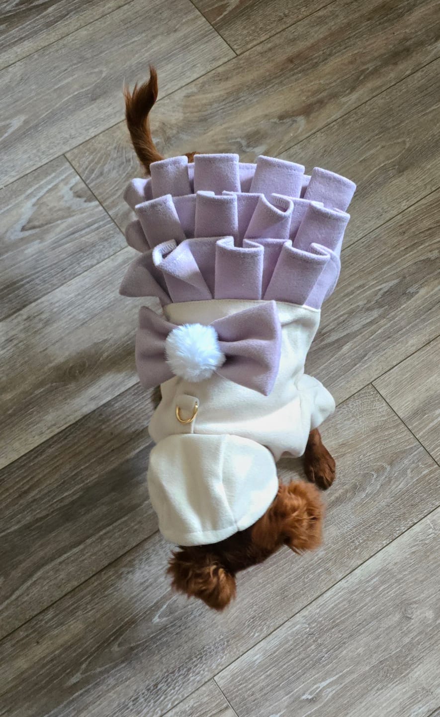 Customer photo review of Warm Fleece Bow Layered Dog Dress Jacket