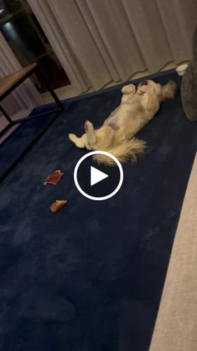 Customer video review of The Mellow Mat® v2 (Soft Touch Sensory Tatami Rug)
