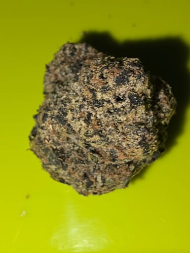 Customer photo review of Black Thai Maple