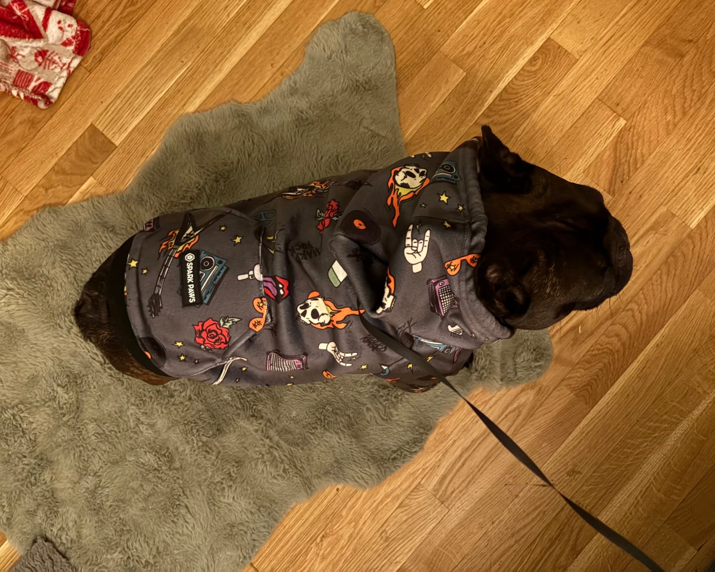 Customer photo review of Stretchy Fleece Dog Leg Warmer Sleeves