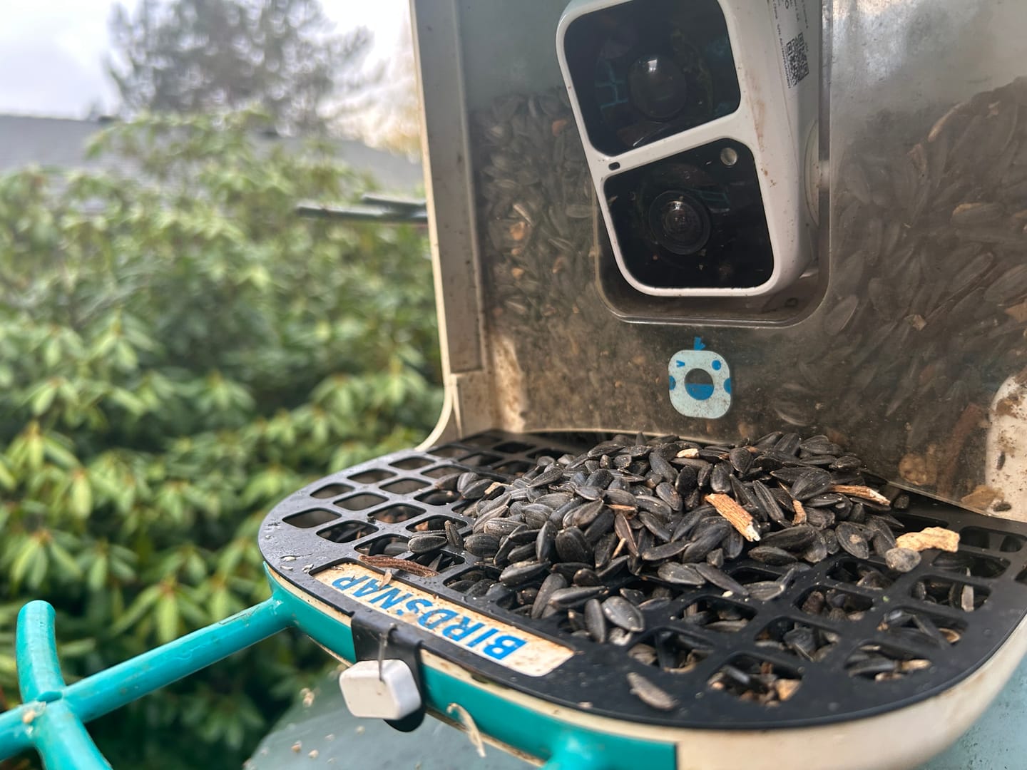 Customer photo review of Squirrel Proof Mesh, compatible with P53n, TUC, PAV