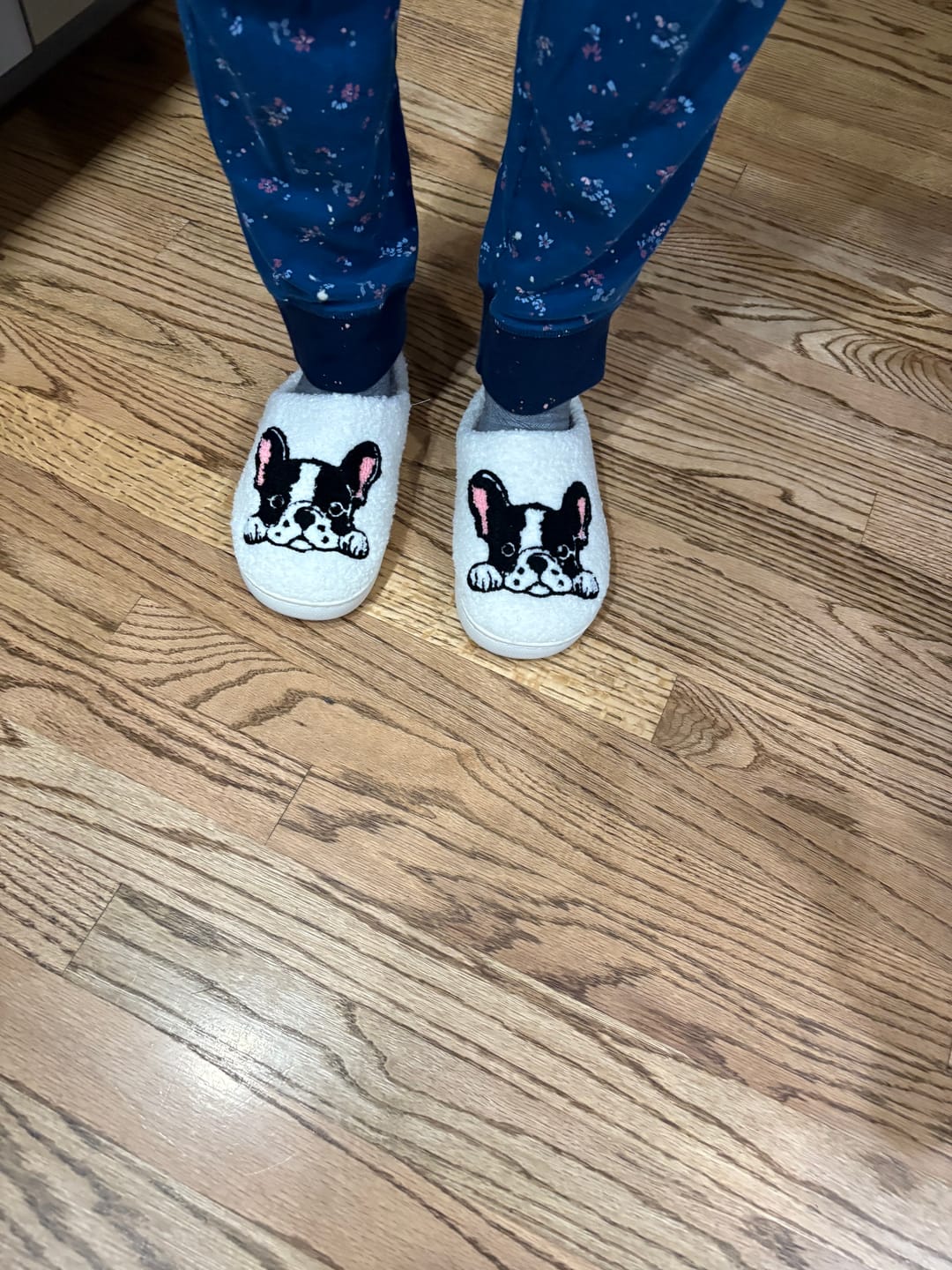 Customer photo review of Boston Terrier Slippers