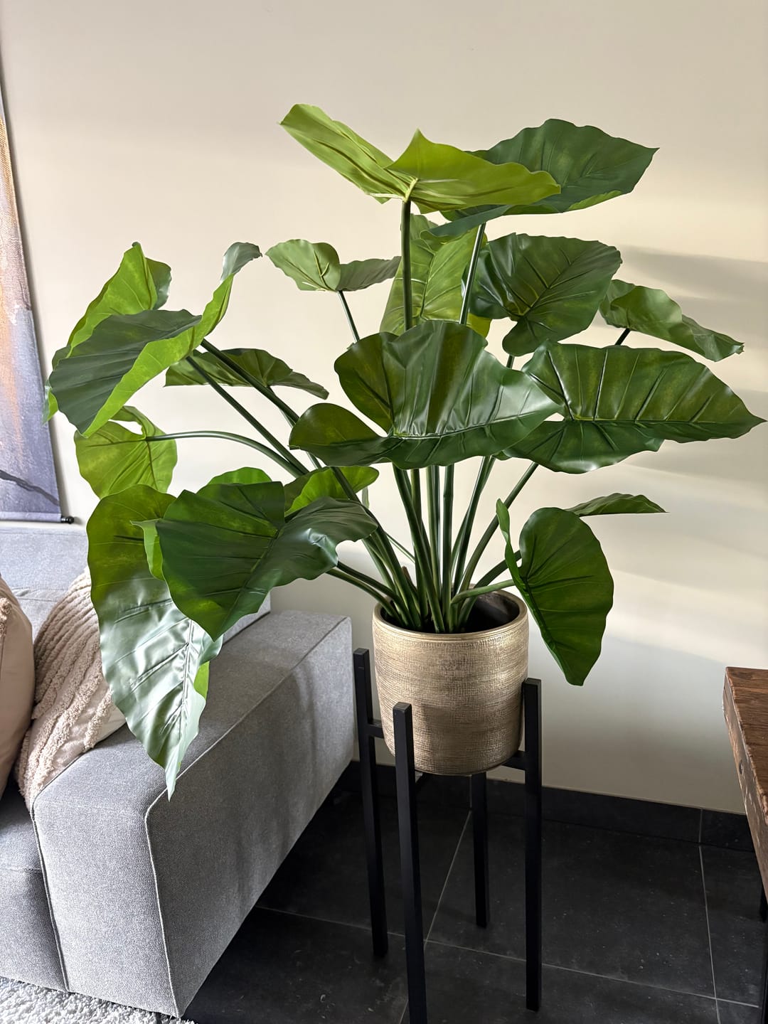 Customer photo review of Alocasia Kunstplant 100cm