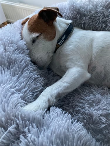 Customer photo review of CalmBed - Motverkar stress & hjälper mot ångest