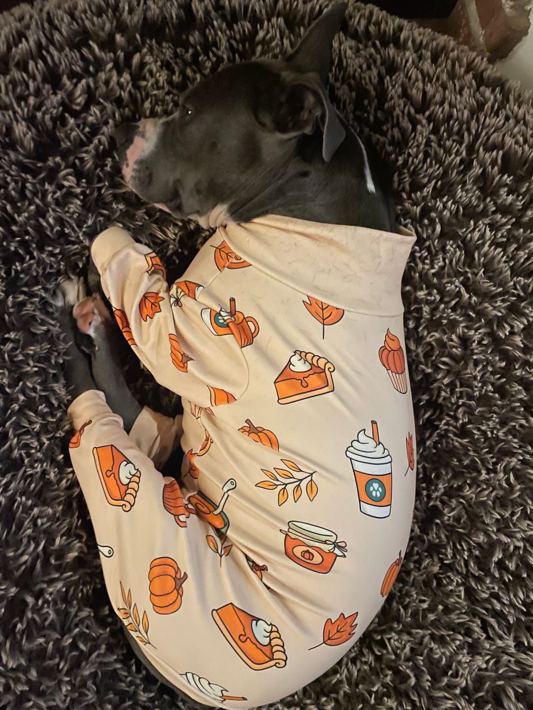 Customer photo review of Dog Christmas Pajama - Frosty Night