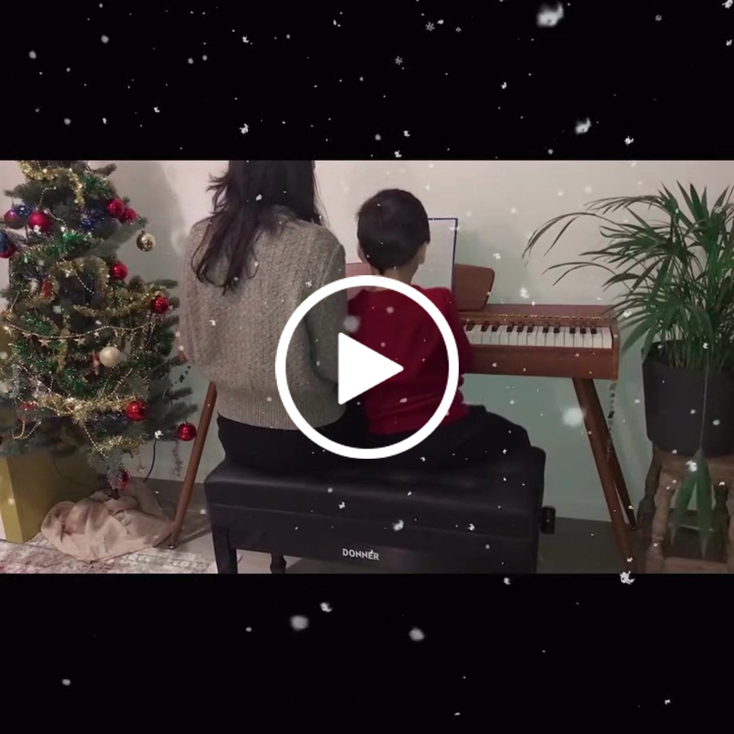 Customer video review of Donner DDP-80 Motif de Bois Piano Numérique