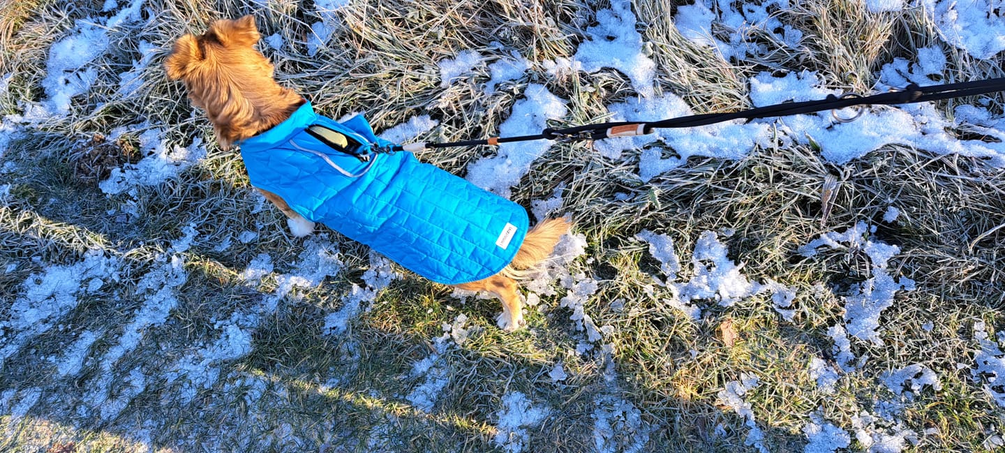Customer photo review of Emmalove - Wasserdichte Hundeweste