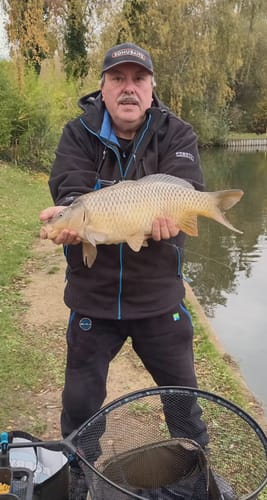 Customer photo review of EXTREMITY SD FEEDER REELS💰