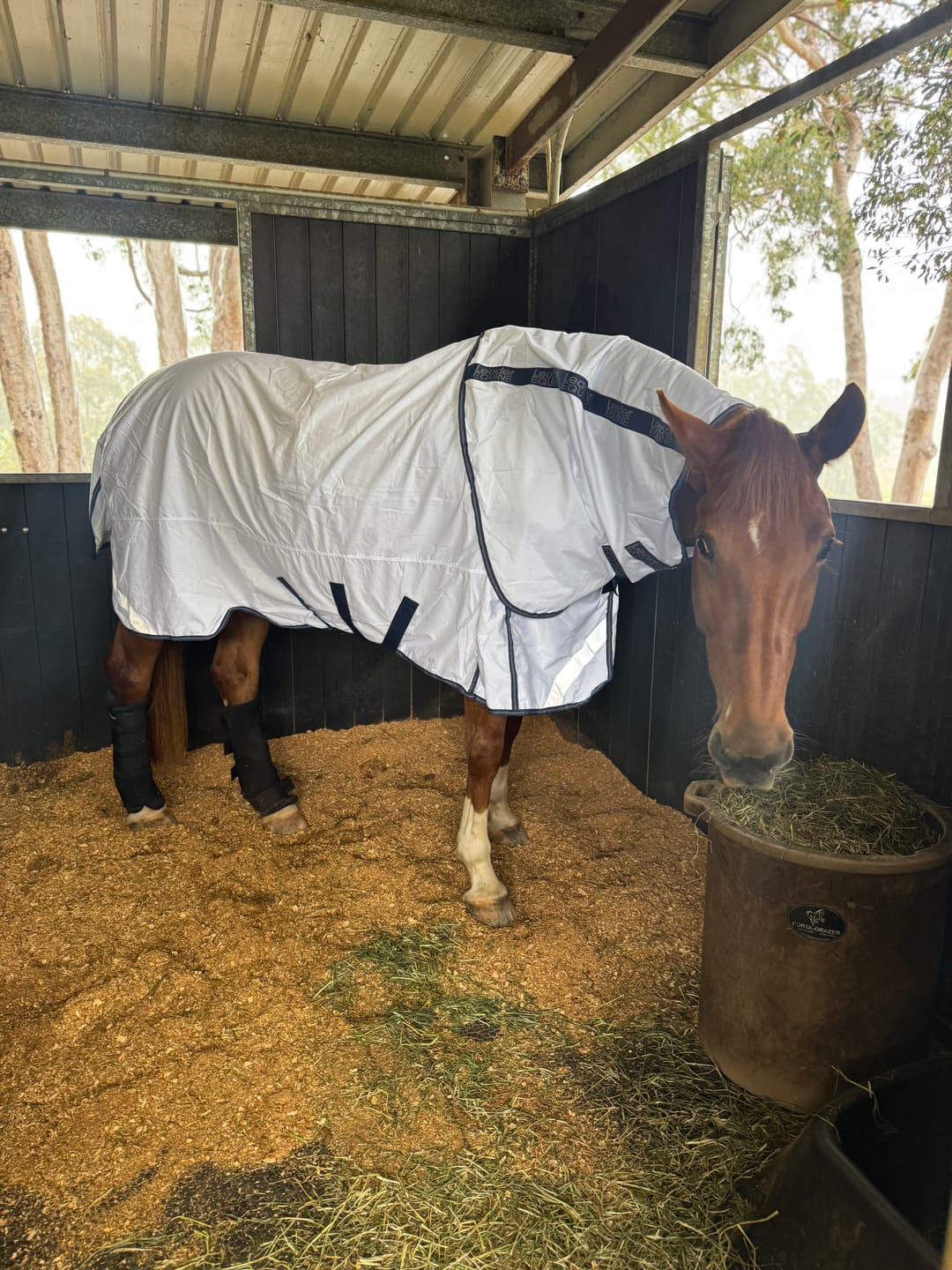 Customer photo review of LE Fieldsafe Summer Sheet