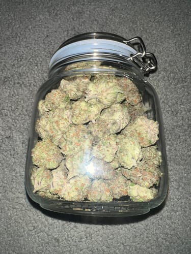 Customer photo review of Shipping Protection by Route