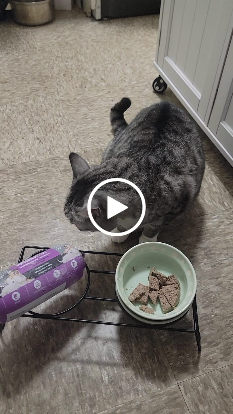 Customer video review of Venison Dog Food 1.5lb Frozen Roll-Tasting Pack Single Roll