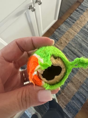 Customer photo review of Squeaky Tennis Balls