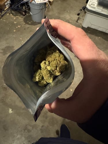 Customer photo review of Gas Face - Indoor - 28 Grams - Indica