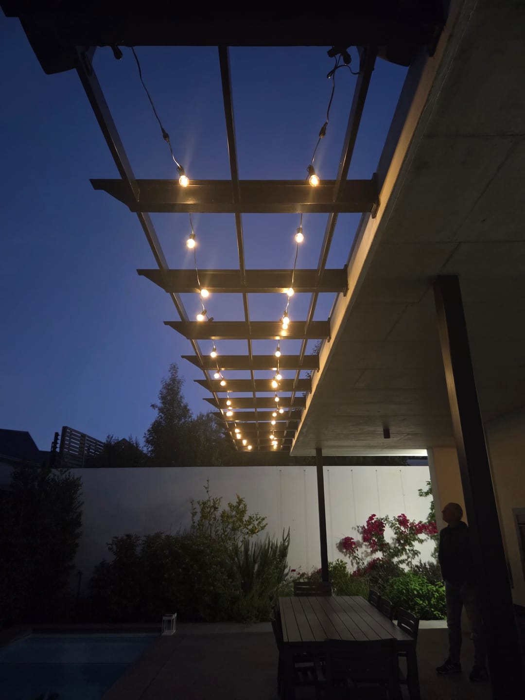 Customer photo review of Solar Mini Bulb String Lights