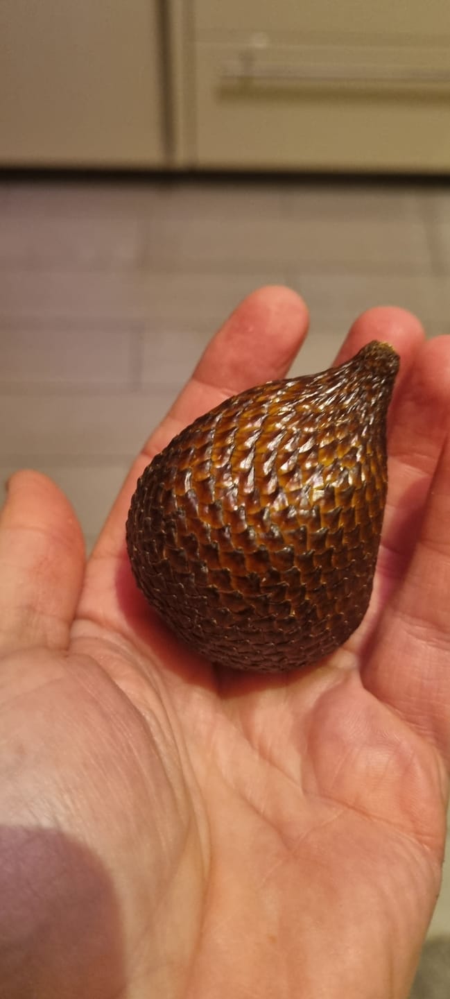 Customer photo review of Salak (Schlangenfrucht) naturbelassen