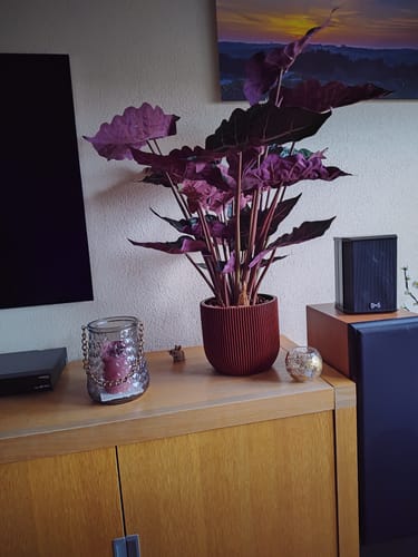 Customer photo review of Capi bloempot Groove bol 24x21 Merlot Rood