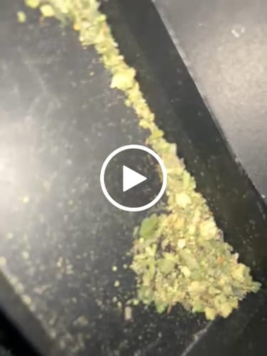 Customer video review of Shipping Protection by Route