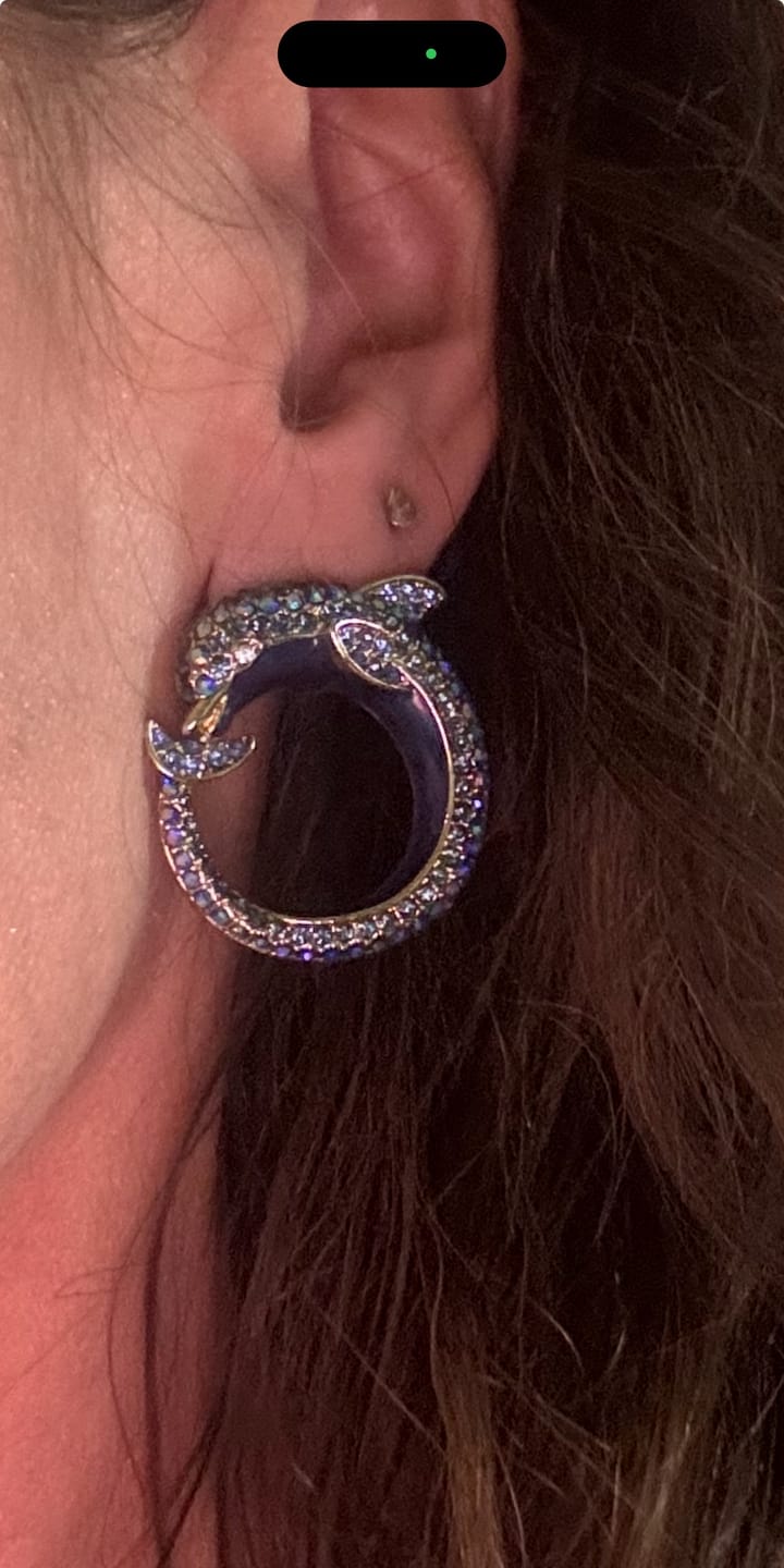 Customer photo review of Heidi Daus®"Playful Porpoise" Crystal & Enamel Dolphin Button Earrings