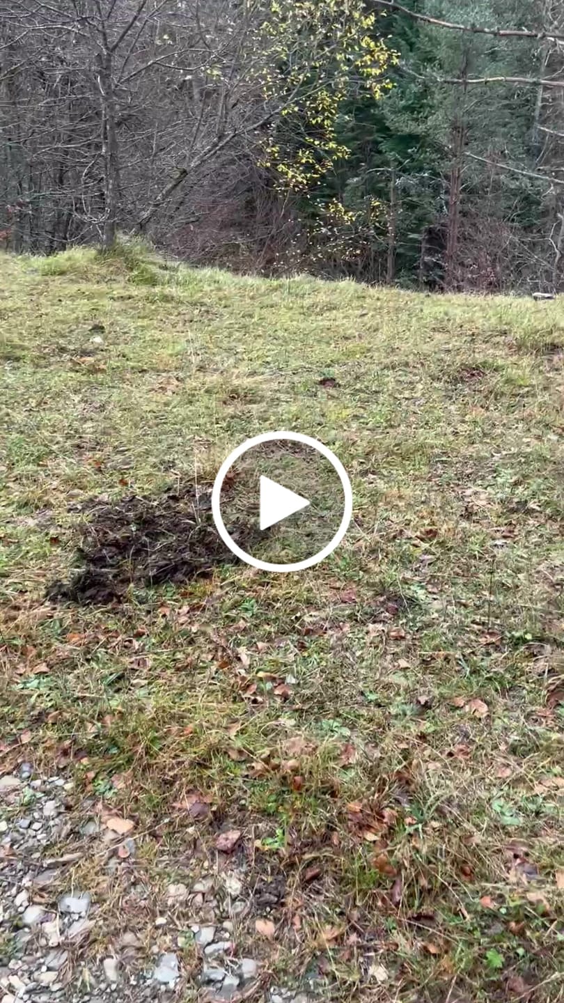 Customer video review of WarmShield Water-Resistant Jacket - Black