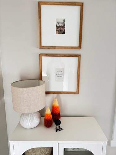 Customer photo review of Black Metal Bird