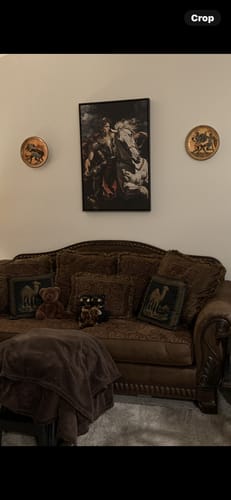 Customer photo review of Alexander the Great On Horseback