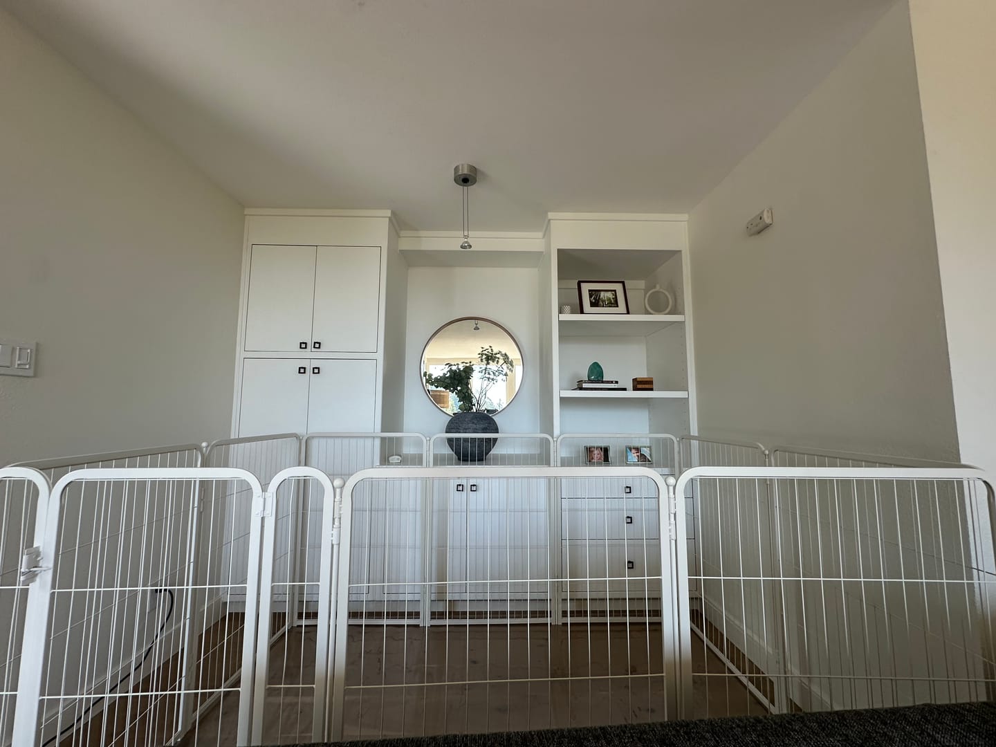 Customer photo review of Homeplus Dog Playpen for Indoor Use