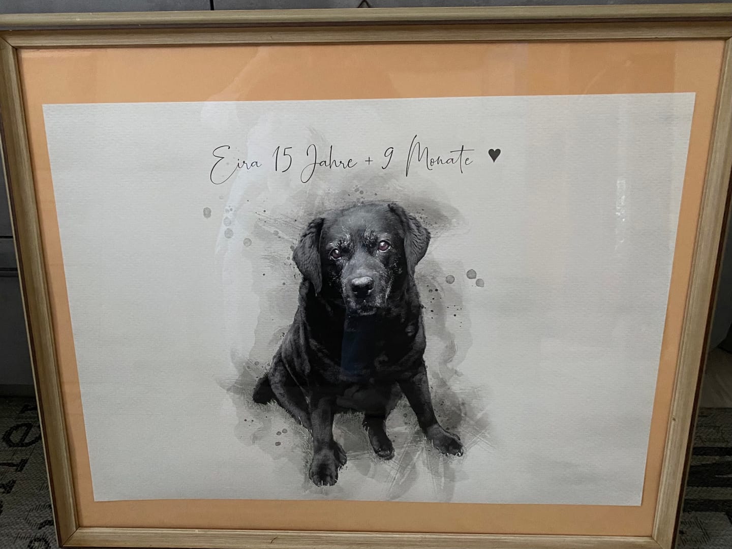 Customer photo review of Hundeportrait nach Foto