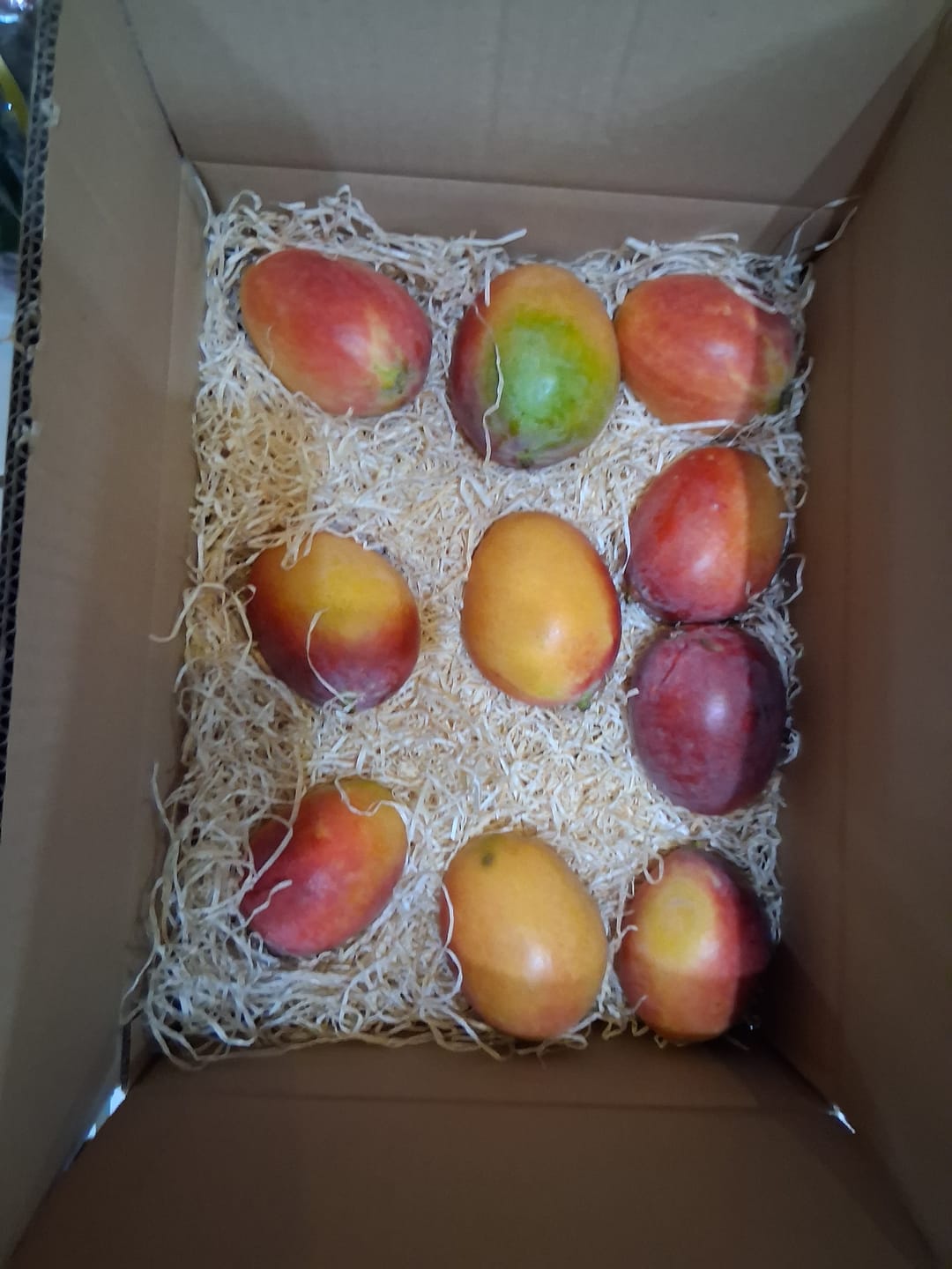 Customer photo review of Mango Sensacion von Julian Sonderaktion %