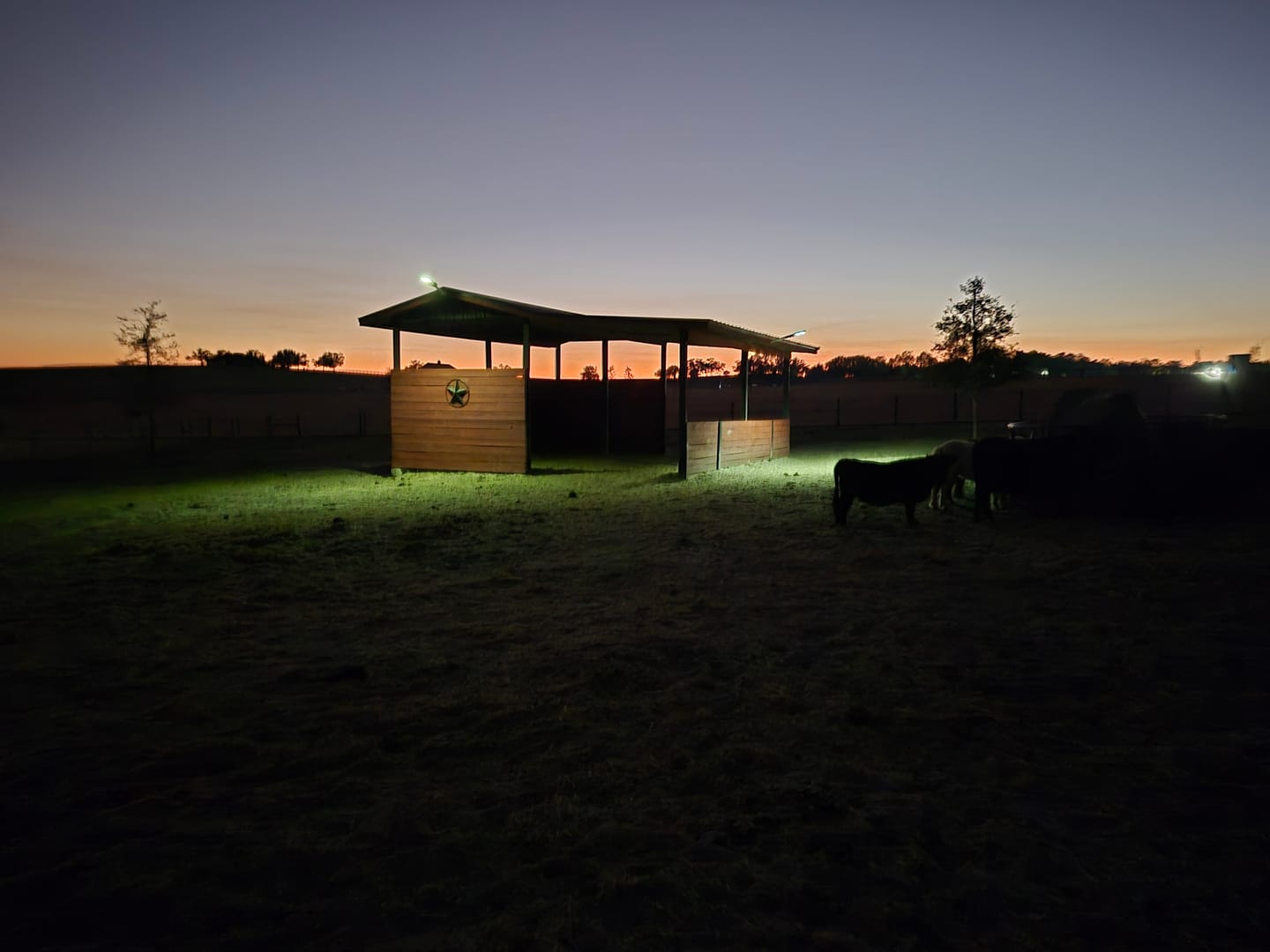 Customer photo review of 60W Solar Street Light 6000 Lumens