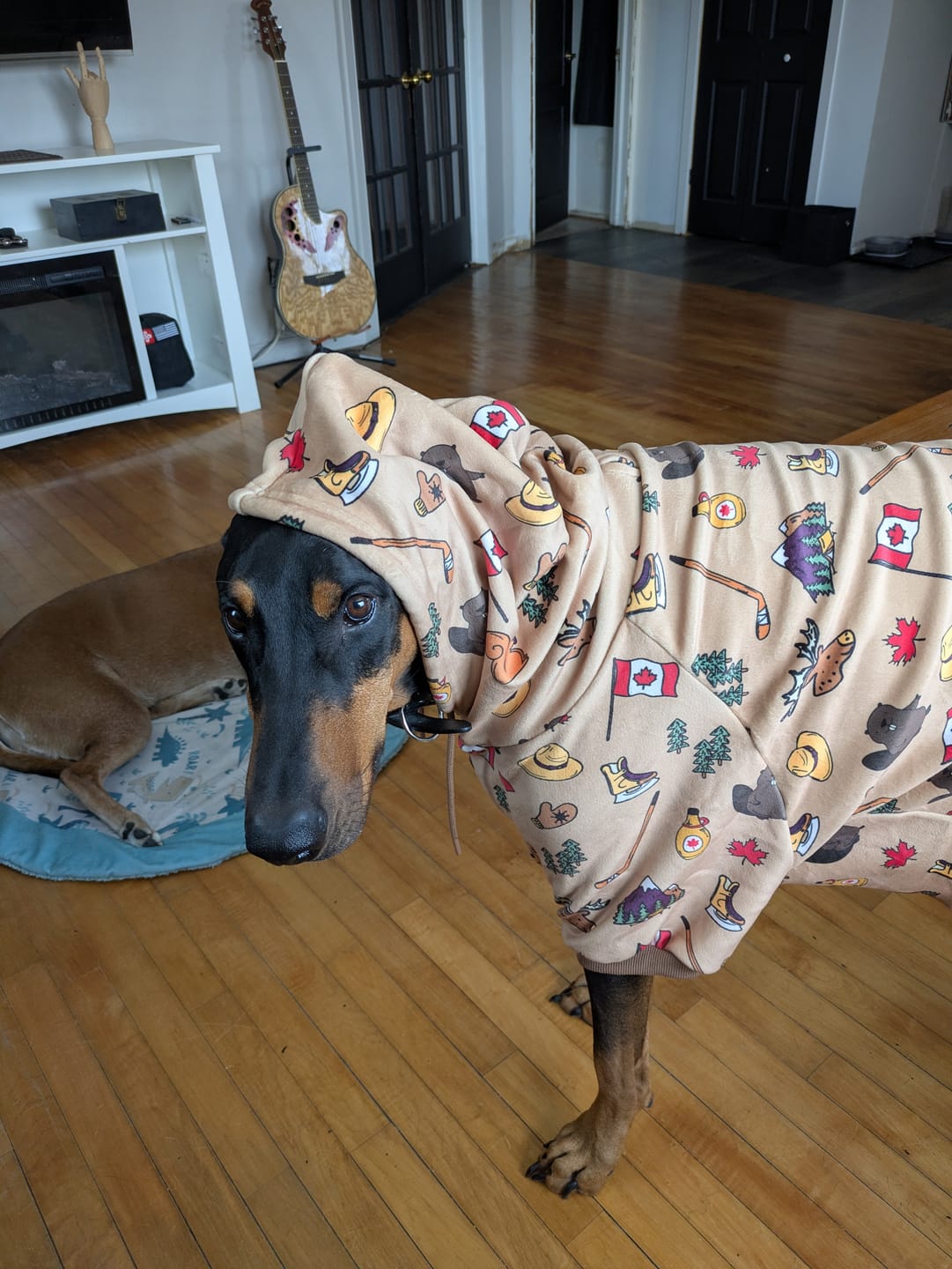 Customer photo review of Canada Dog Hoodie