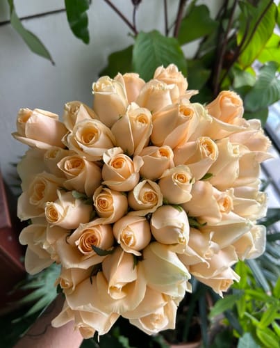 Customer photo review of Roses