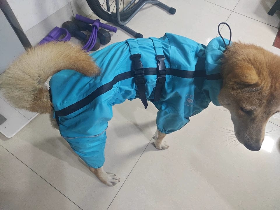 Customer photo review of Chubasquero MellowPurr Ventura – Protección Exterior Profesional