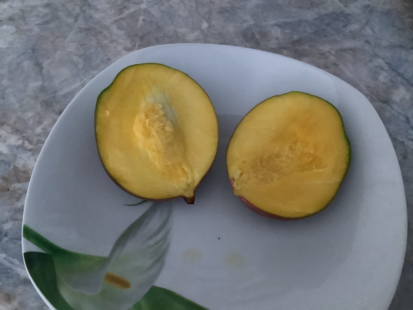 Customer photo review of Mini-Mango Keitt Bio Sonderpreis %