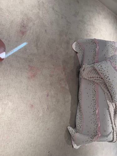 Customer photo review of Green Mitt Kit